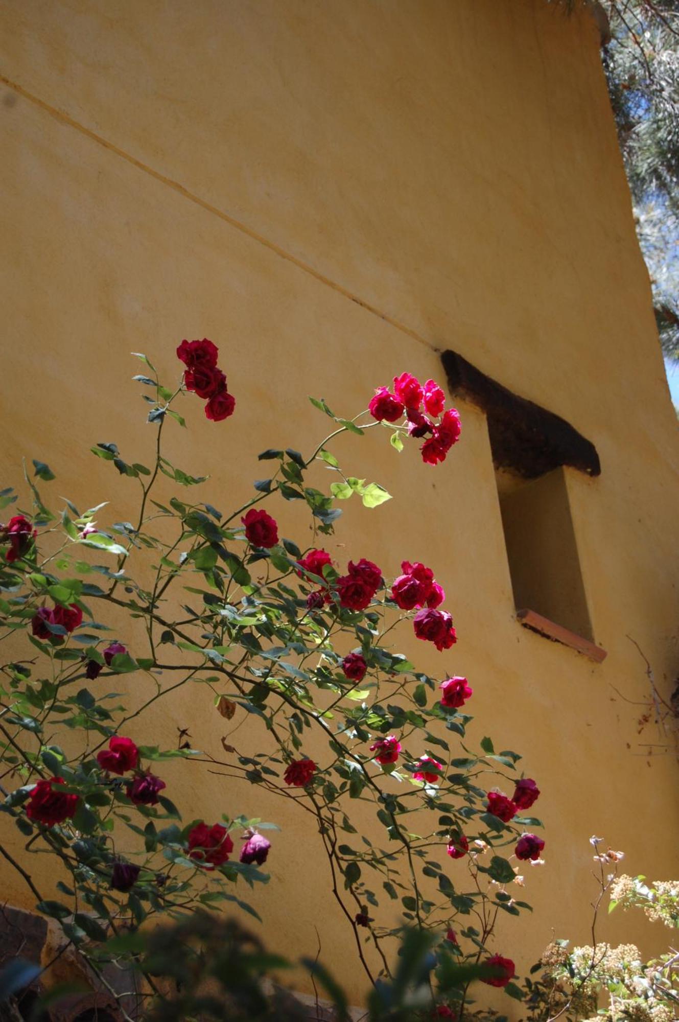 Rural Arco Iris Cuenca Hotel Cuenca  Eksteriør billede